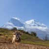 012 Nord Peru