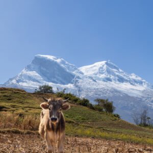 012 Nord Peru