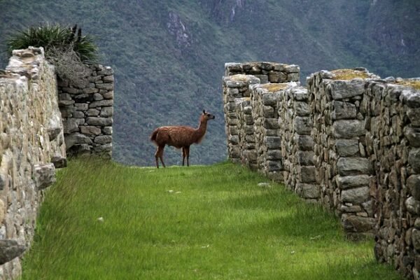 005 Peru – Trekking