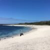 006 Peru – Galapagos