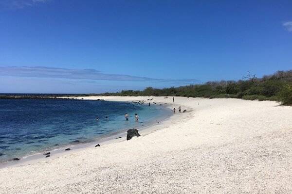 006 Peru – Galapagos